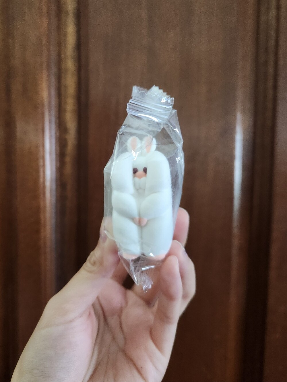 Qualia hamster in the gap white hamster